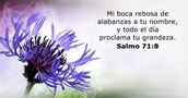 Salmos 71:8