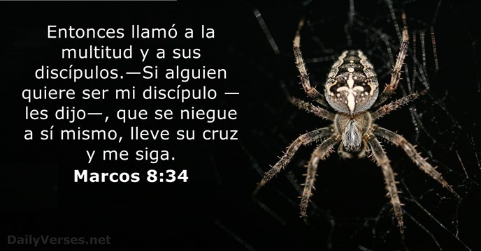 marcos 8:34