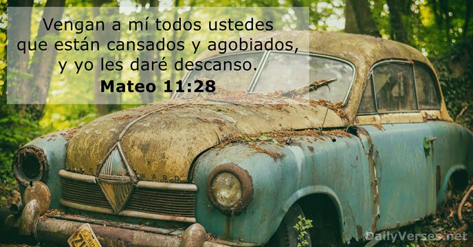 mateo 11:28