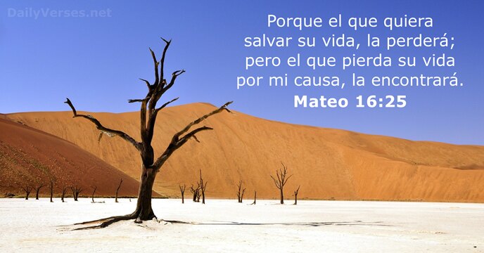 mateo 16:25