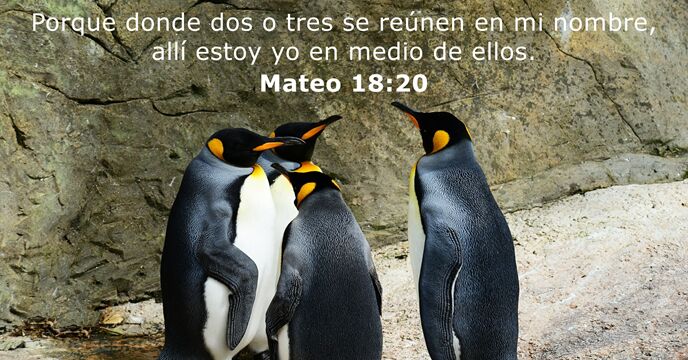 mateo 18:20