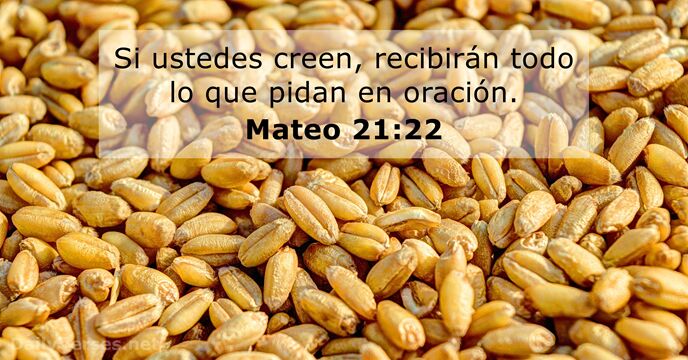 Mateo 21:22