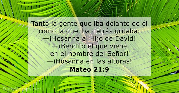 Mateo 21:9 - Versículo de la Biblia del día - DailyVerses.net