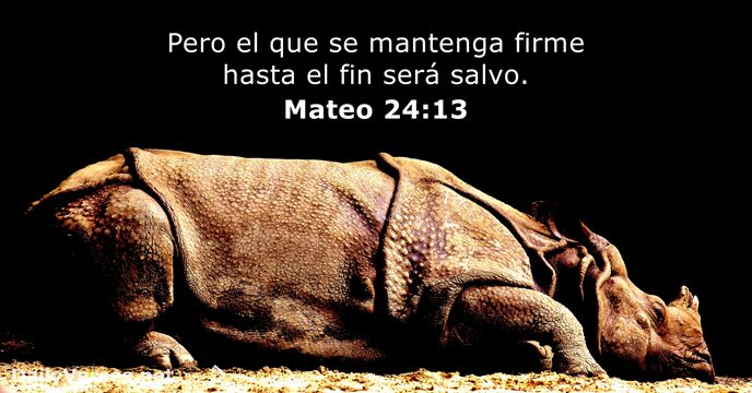 Mateo 24:13