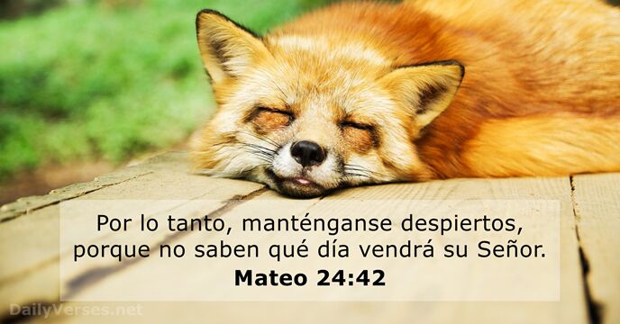 mateo 24:42