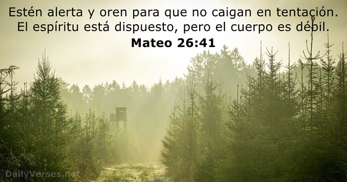 mateo 26:41