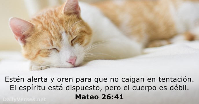 mateo 26:41