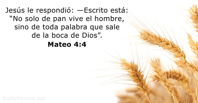 mateo 4:4