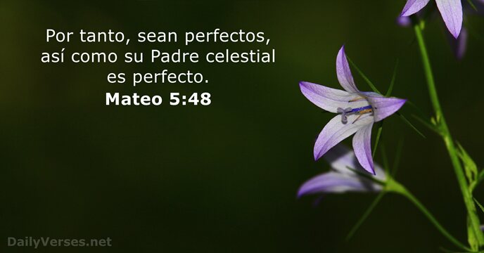 mateo 5:48