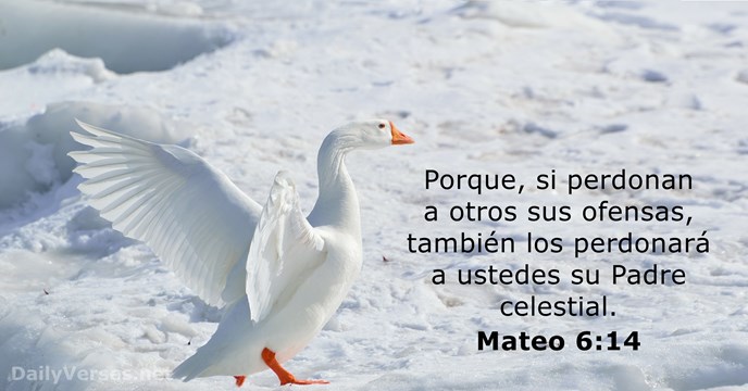 Mateo 6:14 - Versículo de la Biblia del día - DailyVerses.net