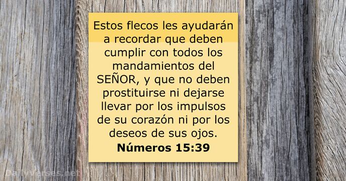 Números 15:39