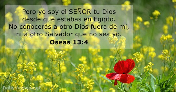 oseas 13:4