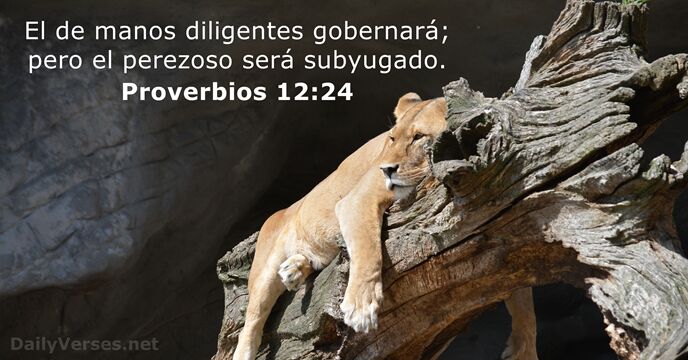 proverbios 12:24