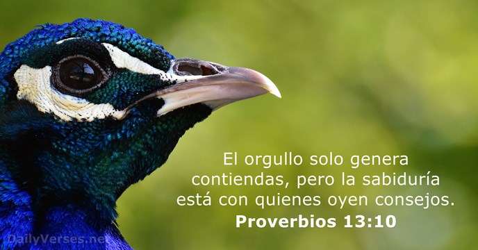 Proverbios 13:10