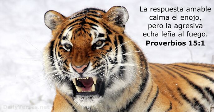 proverbios 15:1