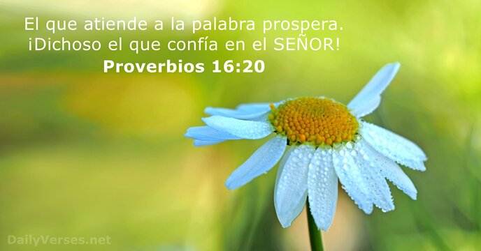 proverbios 16:20