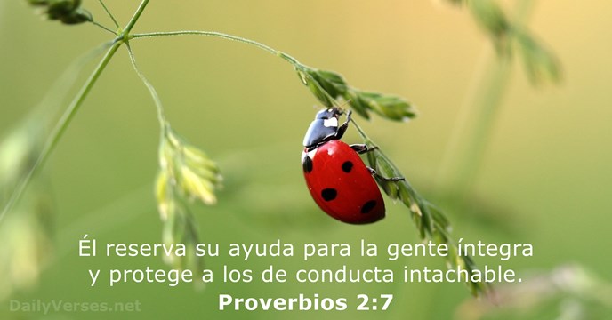proverbios 2:7