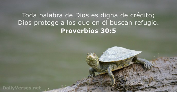 proverbios 30:5