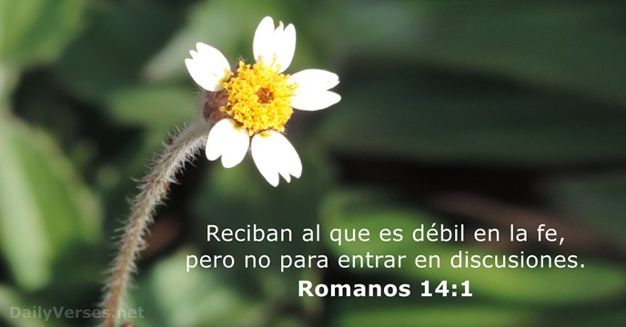 romanos 14:1