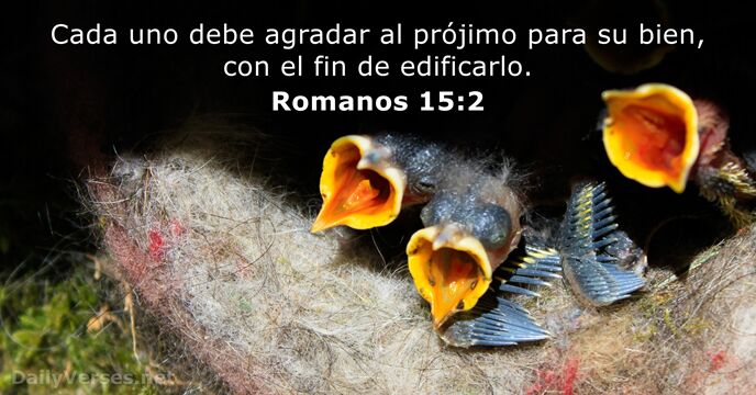 romanos 15:2