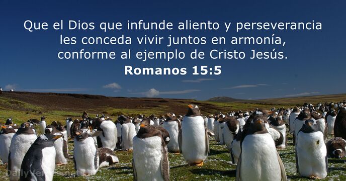 romanos 15:5