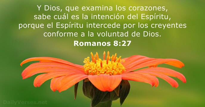 romanos 8:27