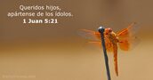1-juan 5:21