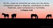 1-pedro 3:8