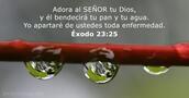 exodo 23:25