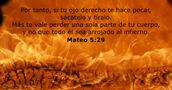 mateo 5:29