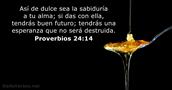 proverbios 24:14