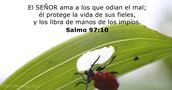 salmos 97:10