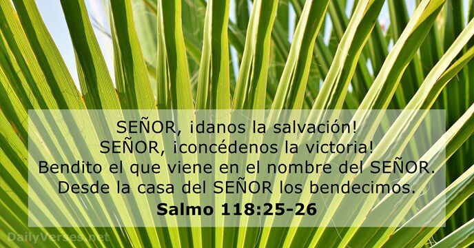 Salmos 118:25-26