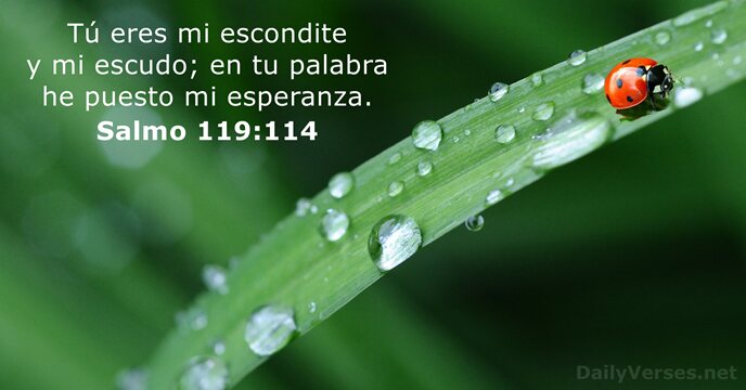 salmos 119:114