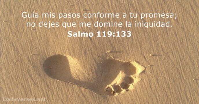 salmos 119:133