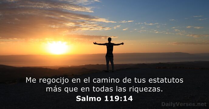 salmos 119:14