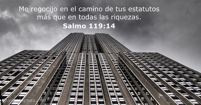 salmos 119:14
