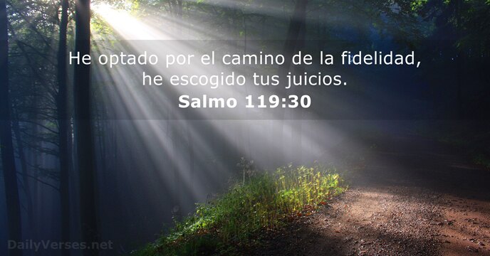 Salmos 119:30