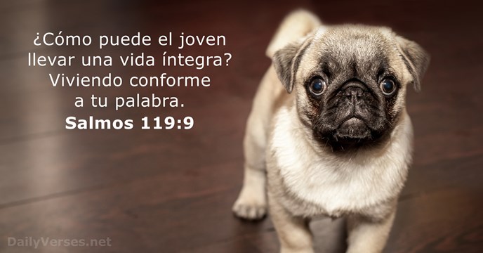 salmos 119:9