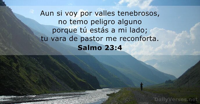 salmos 23:4