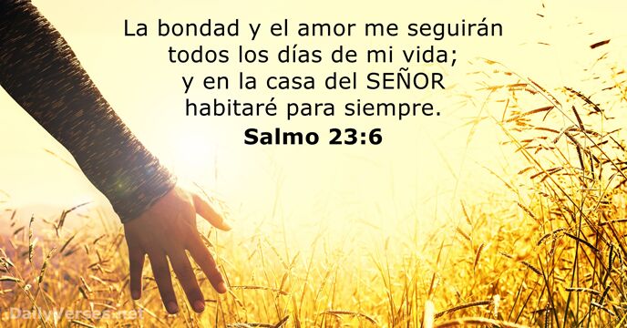Salmos 23:6