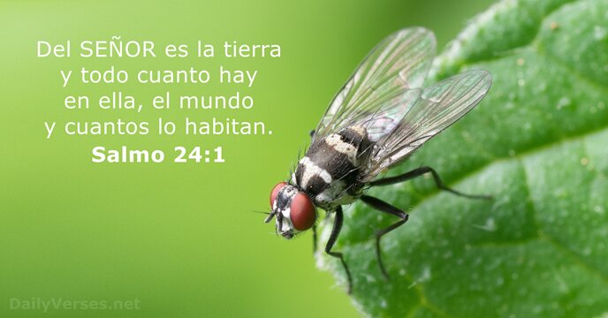 salmos 24:1