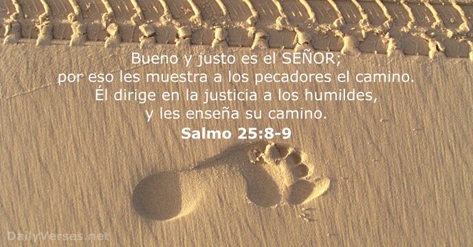 salmos 25:8-9