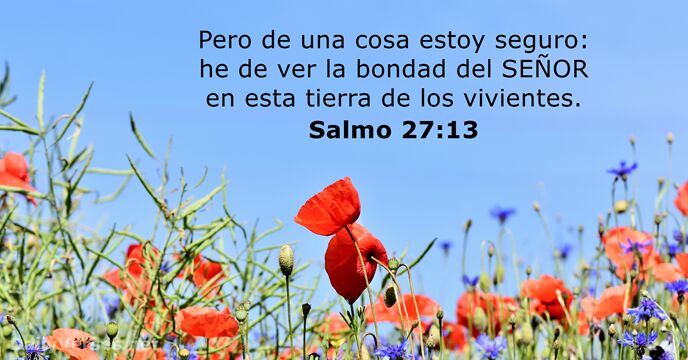 salmos 27:13