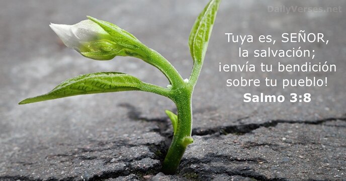 salmos 3:8