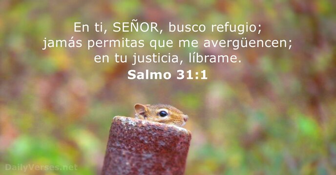 salmos 31:1