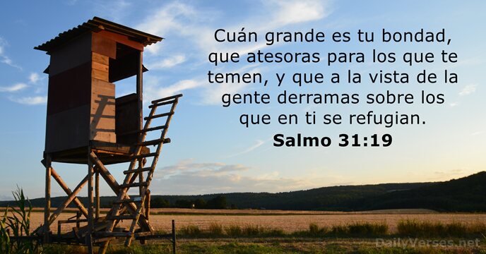 salmos 31:19