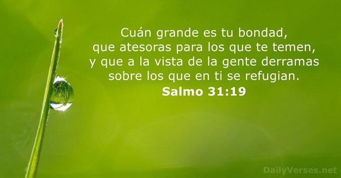 salmos 31:19