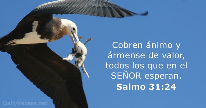 Salmos 31:24