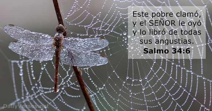 salmos 34:6
